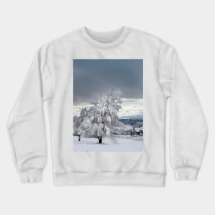 Winter Tree Crewneck Sweatshirt